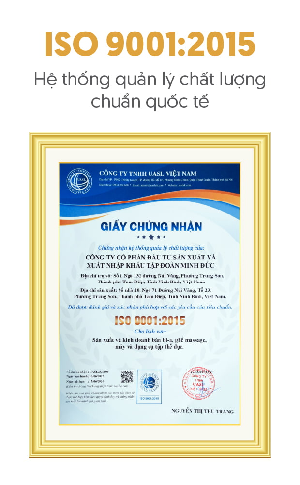 Banner 5